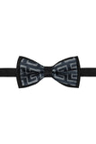 Barabas Wholesale Men Greek key Pattern Baroque Luxury Bow Tie 2BW3098  Black and Silver