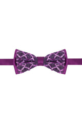 Barabas Wholesale Men's Diamond Sequin Pattern Design Bow Tie 2BW3099 Purple