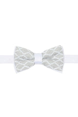 Barabas Wholesale Men's Diamond Sequin Pattern Design Bow Tie 2BW3099 White