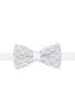 Barabas Wholesale Men's Diamond Sequin Pattern Design Bow Tie 2BW3099 White
