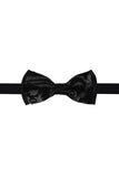 Barabas Wholesale Men's Paisley Pattern Design Bow Tie 2BW3101 Black