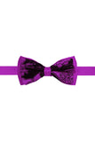 Barabas Wholesale Men's Paisley Pattern Design Bow Tie 2BW3101 Purple