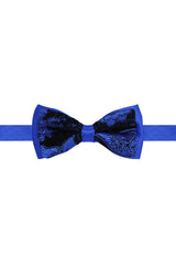 Barabas Wholesale Men's Paisley Pattern Design Bow Tie 2BW3101 Royal