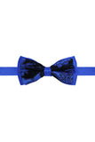 Barabas Wholesale Men's Paisley Pattern Design Bow Tie 2BW3101 Royal