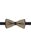 Barabas Wholesale Men's Textured Material Bow Tie 2BW3105 Gold