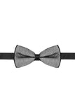 Barabas Wholesale Men's Textured Material Bow Tie 2BW3105 Silver