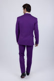 Barabas Wholesale Men's Brushed Cotton Notch Lapel Matte Casual Suit 3SU02 Purple