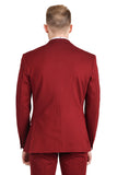Barabas Wholesale Men's Brushed Cotton Notched Lapel Matt Suit 3SU02 Wine
