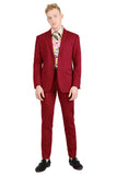 Barabas Wholesale Men's Brushed Cotton Notched Lapel Matt Suit 3SU02 Wine