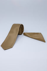 Barabas Wholesale Men's Solid Color Shiny Satin Luxury Formal Necktie 4NT01 Light Gold