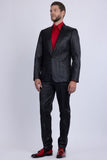 Barabas Wholesale Men's Faux Leather Textured Pattern Peak Lapel Suit 5SU54 Black