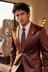 Barabas Wholesale Men's Rhinestone Shiny Satin Luxury Formal Necktie 6NT01 Chocolate Gold