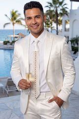 Barabas Wholesale Men's Rhinestone Shiny Satin Luxury Formal Necktie 6NT01 White Gold