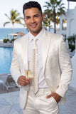 Barabas Wholesale Men's Rhinestone Shiny Satin Luxury Formal Necktie 6NT01 White Gold