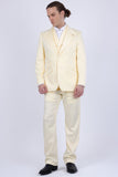 Barabas Wholesale Men's Solid Color 3-Pieces Peak Lapel Suit Set 6SU11 Whisper White