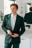 Barabas Wholesale Men's Floral Sequin Embroidered Design Peak Lapel Blazer 5BL09 Green