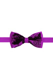 BARABAS Men's Paisley Pattern Design Bow Tie 2BW3101 Purple